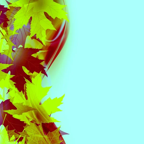 Coloridas hojas de arce de otoño —  Fotos de Stock