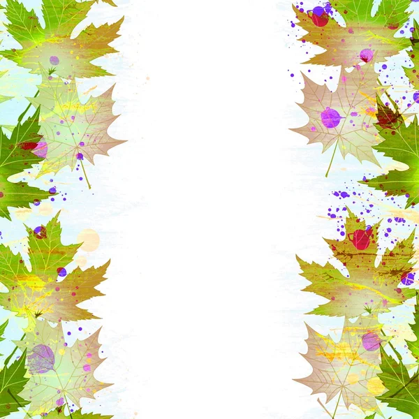 Kleurrijke herfst esdoorn bladeren — Stockfoto