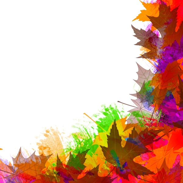 Kleurrijke esdoorn Herfstbladeren — Stockfoto