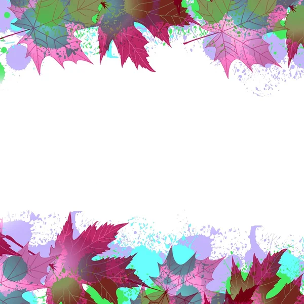 Цветные кленовые осенние листья — стоковое фото