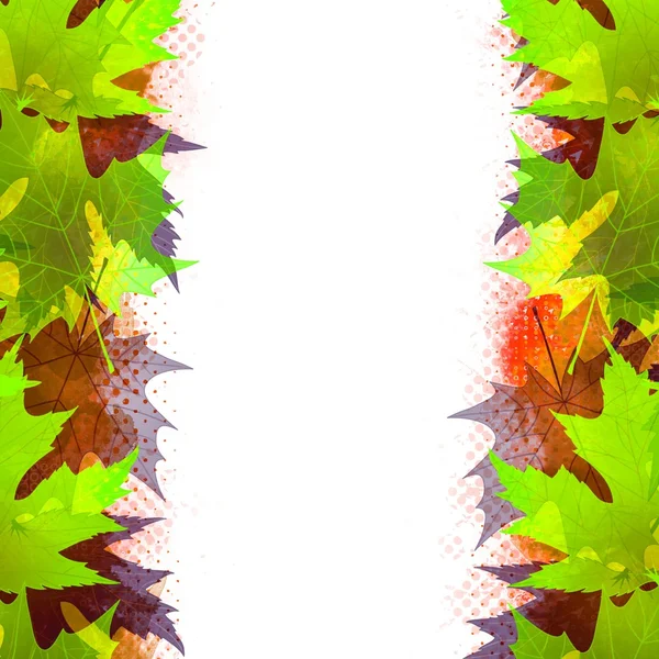 Барвисті кленові осінні листя — стокове фото