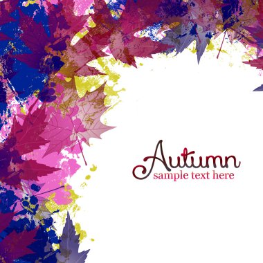 renkli akçaağaç sonbahar yaprakları