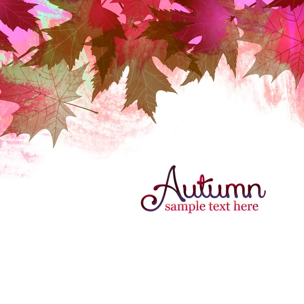 Bunte Ahorn Herbstblätter — Stockfoto