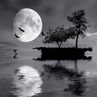 Okyanusta ıssız bir ada.