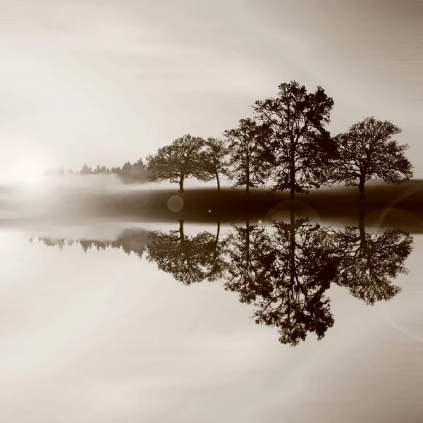 Ilustración Amanecer Silencio — Foto de Stock