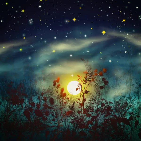 Ilustracja Jasne Słońce Trawie Mglisty Wschód Słońca — Zdjęcie stockowe