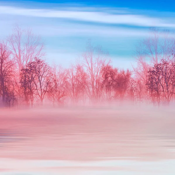 Illustration Foggy Matin Rose Bleu — Photo