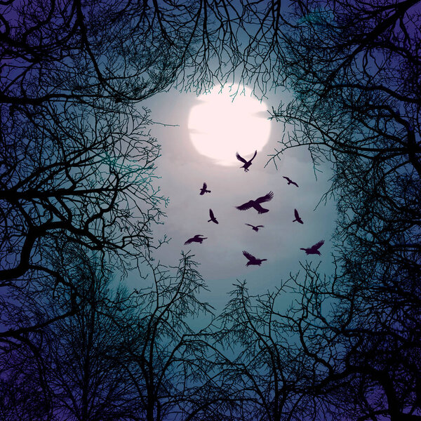 3D illustration. Gothic sky through the branches of trees.