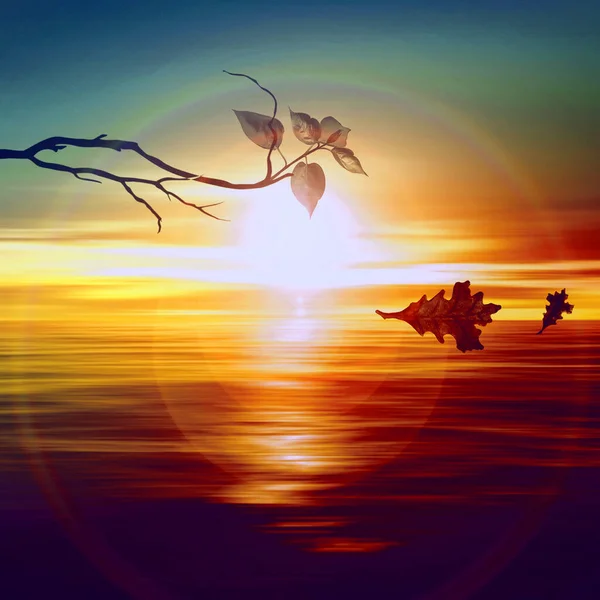 Illustration Autumn Leaf Flying Sunset Background — Stock Photo, Image