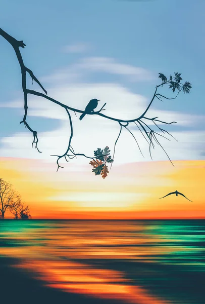 Ilustrace Pták Větvi Pozadí Jarního Úsvitu — Stock fotografie