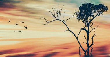 Üç boyutlu illüstrasyon. Suyun içinde büyüyen kuru ağaç.