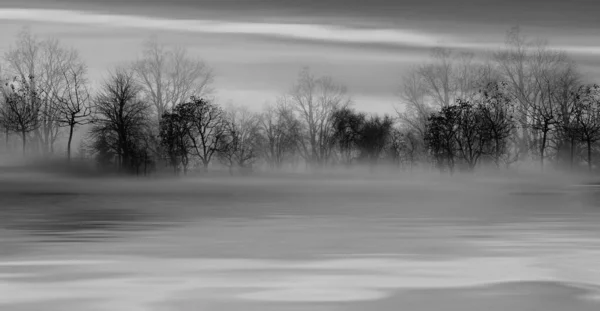 多雾的冬夜在森林里 3D插图 — 图库照片