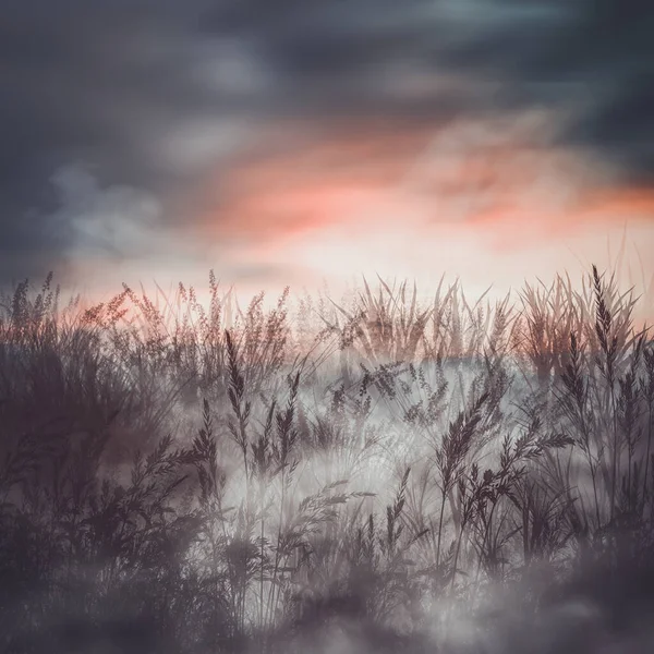 Ілюстрація Туманний Вечір Ставку — стокове фото