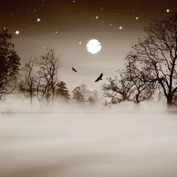 3D插图 繁星繁茂的冬夜在草地上 — 图库照片