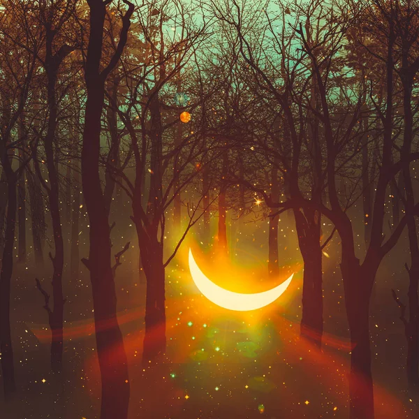 Illustration Moon Trees Fell Sky — Stock Photo, Image