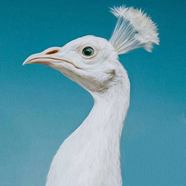 Porträtt Vit Påfågel Imitation Oljemålning Illustration — Stockfoto