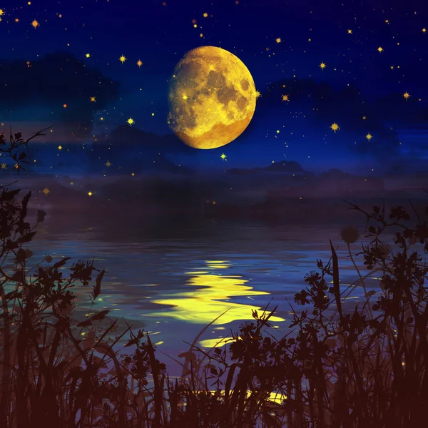 Illustration Gelber Mond Und Seine Spiegelung Auf Einem See Wald — Stockfoto