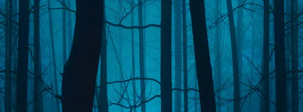 Illustration Nacht Wald Nachahmung Der Ölmalerei — Stockfoto