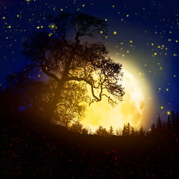 3D illustration. Big moon in the forest.