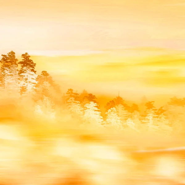 Yellow Foggy Day Forest Imitation Acrylic Painting — Stock Photo, Image