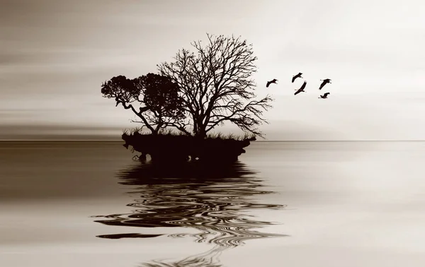 Pequena Ilha Com Árvores Oceano Ilustração — Fotografia de Stock