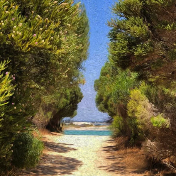 Sentiero Spiaggia Attraverso Cespugli — Foto Stock