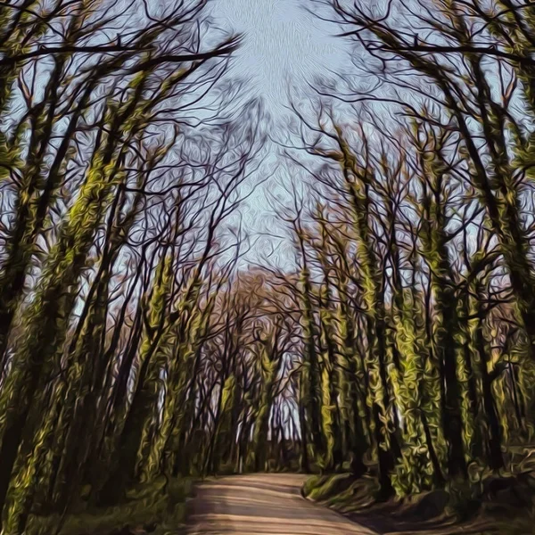 Bäume Entlang Der Straße Form Eines Tunnels Imitation Von Ölgemälden — Stockfoto
