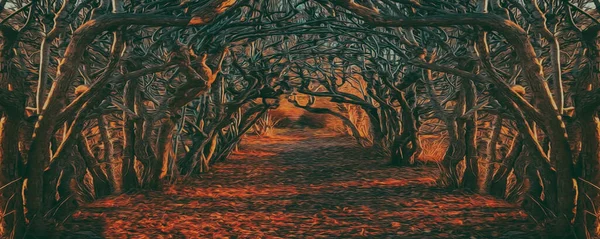 Eukalyptusbaumtunnel Imitation Von Ölgemälden Illustration — Stockfoto