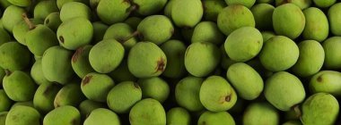 Sklerocarya Birrea. Marula soyut geçmişi. Yağlı boya taklidi. 3B illüstrasyon. 
