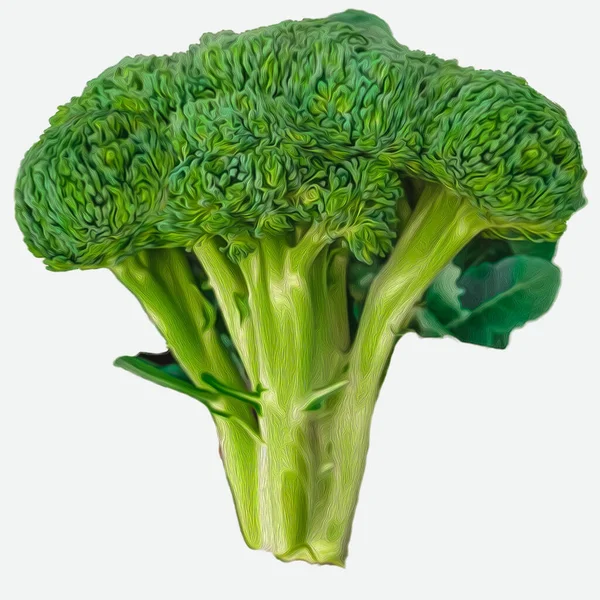 Broccoli Vit Bakgrund Oljemålning Imitation Illustration — Stockfoto