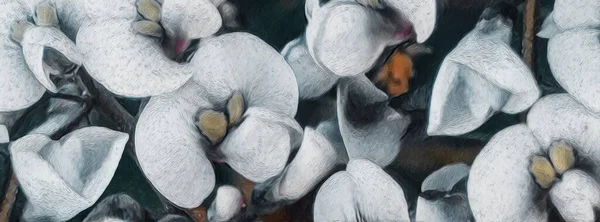Fehér Virágok Fekete Háttérrel Olajfestmény Utánzás Illusztráció — Stock Fotó