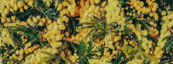 Horizontaler Hintergrund Aus Blühenden Mimosen Imitation Von Ölgemälden Illustration — Stockfoto