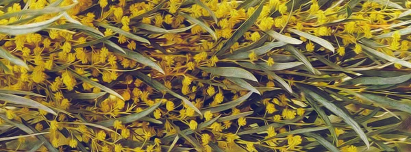 Horizontal branches of mimosa with leaves. Oil painting imitation. 3D illustration.
