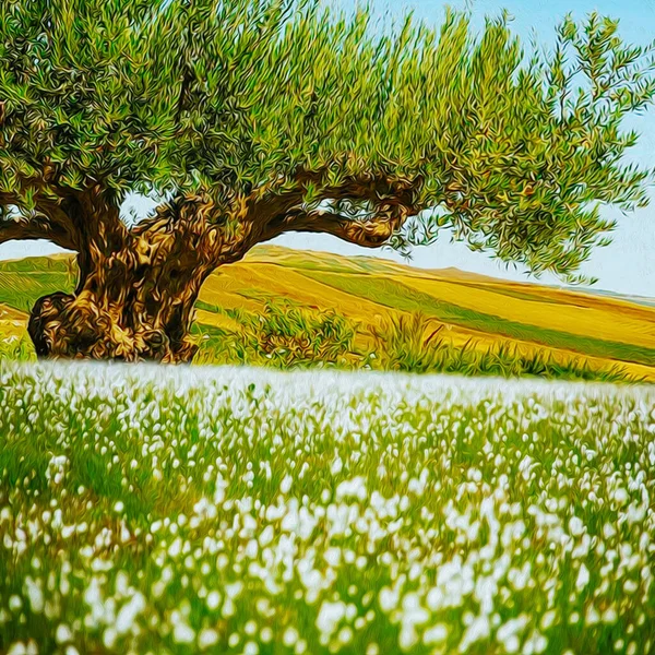 Beautiful Landscape Old Olive Tree Background Fields Oil Painting Imitation — Stock Photo, Image