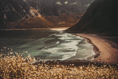 Kayalık bir adada deniz kıyısında. Yağlı boya taklidi. 3B illüstrasyon.