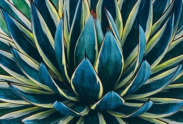 Primo Piano Dell Agave Pittura Olio Imitazione Illustrazione — Foto Stock