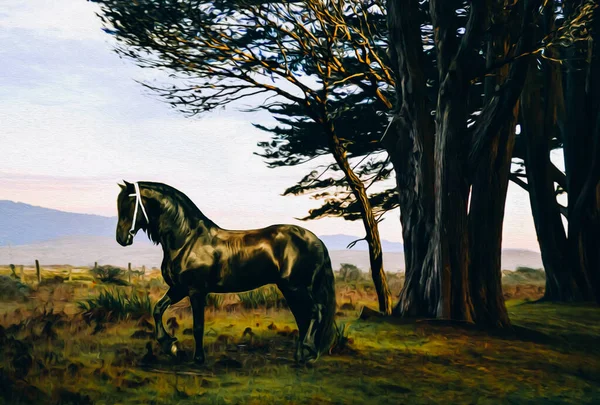 Cavalo Preto Fundo Natureza Selvagem Imitação Pintura Óleo Ilustração — Fotografia de Stock