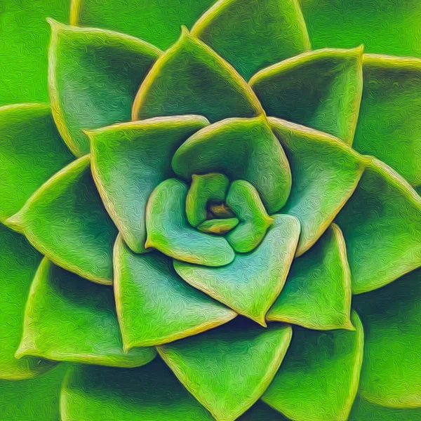Luminoso Verde Succulento Pittura Olio Imitazione Illustrazione — Foto Stock