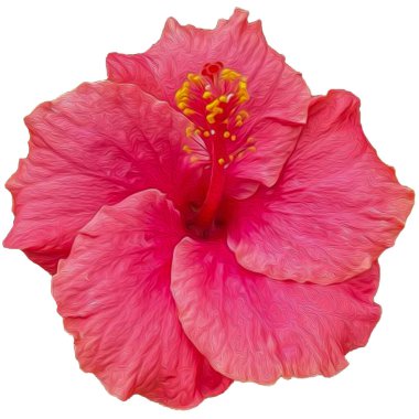 Beyaz arka planda pembe amber çiçeği. Yağlı boya taklidi. 3B illüstrasyon.