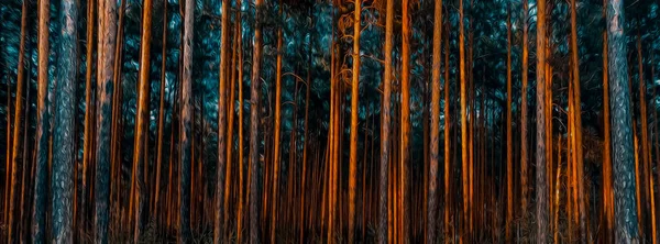 Dennenbos Bij Zonsondergang Olieverf Imitatie Illustratie — Stockfoto