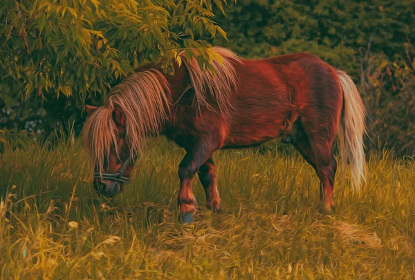 Pony Meadow Oil Painting Imitation Illustration — Stock Photo, Image