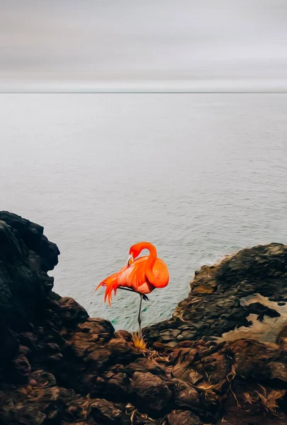 火烈鸟在岩石海岸上油画模仿 3D插图 — 图库照片