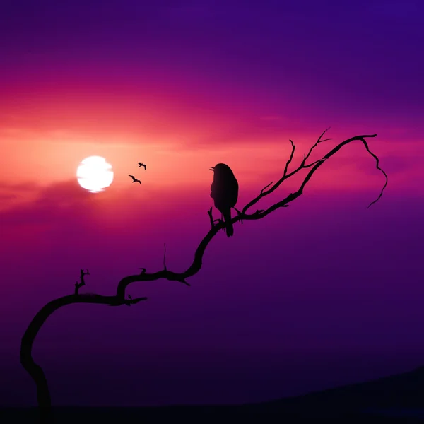 Prachtige landschap met vogels op twig — Stockfoto