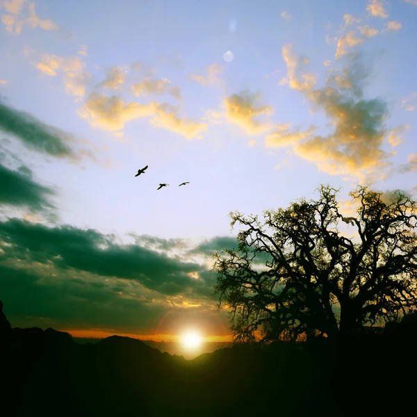 Wunderschöne Landschaft bei Sonnenuntergang — Stockfoto