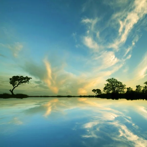 Alberi e cielo riflessione in acqua — Foto Stock