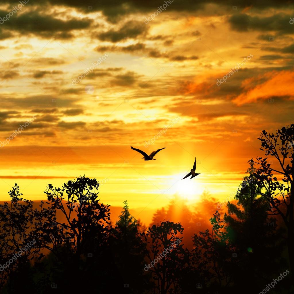 Beau Paysage Coucher De Soleil Photographie Jeneva86
