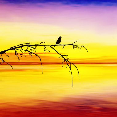 Göllü güzel bir manzara.