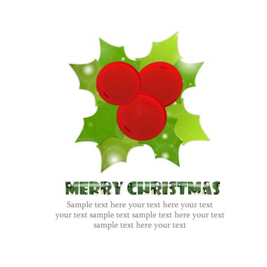 holly ile Noel kartı