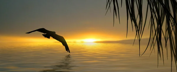 Bela paisagem da natureza — Fotografia de Stock