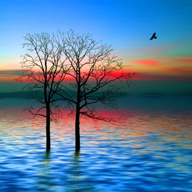 Güzel Doğa Manzarası